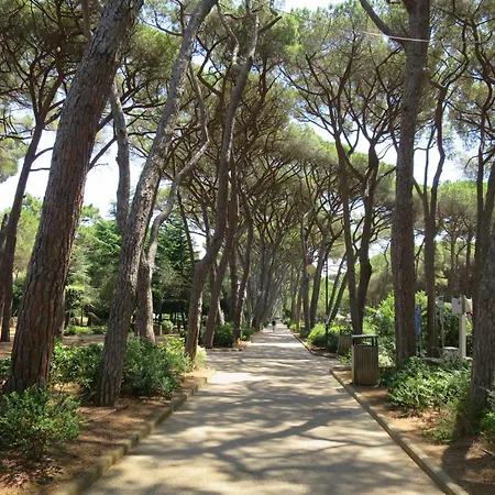 Daire Tini By Interhome *