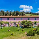 Tini By Interhome Appartamento Castiglioncello